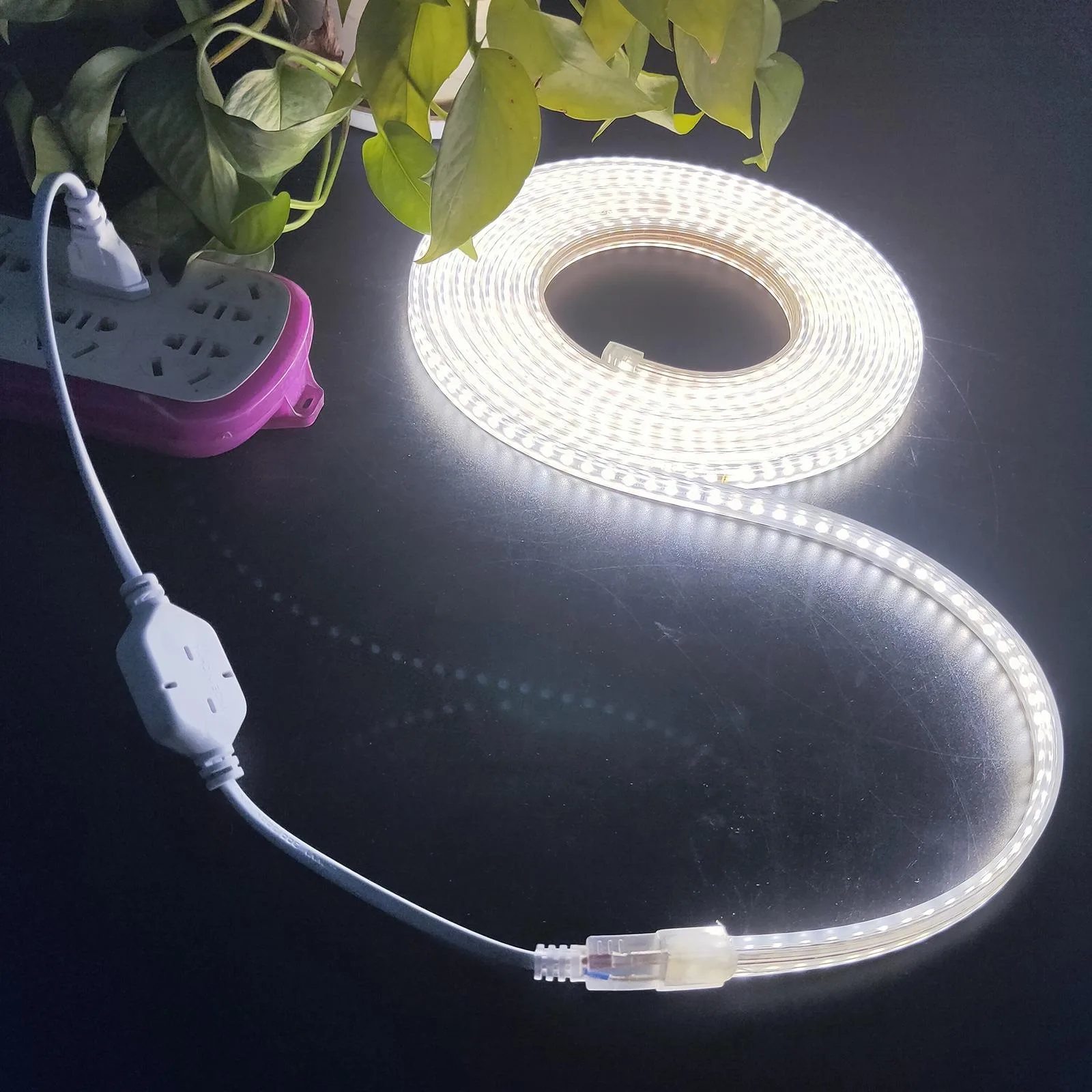 SMD 2835 1200 LEDs Strip Light, AC 220V-240V, EU Plug