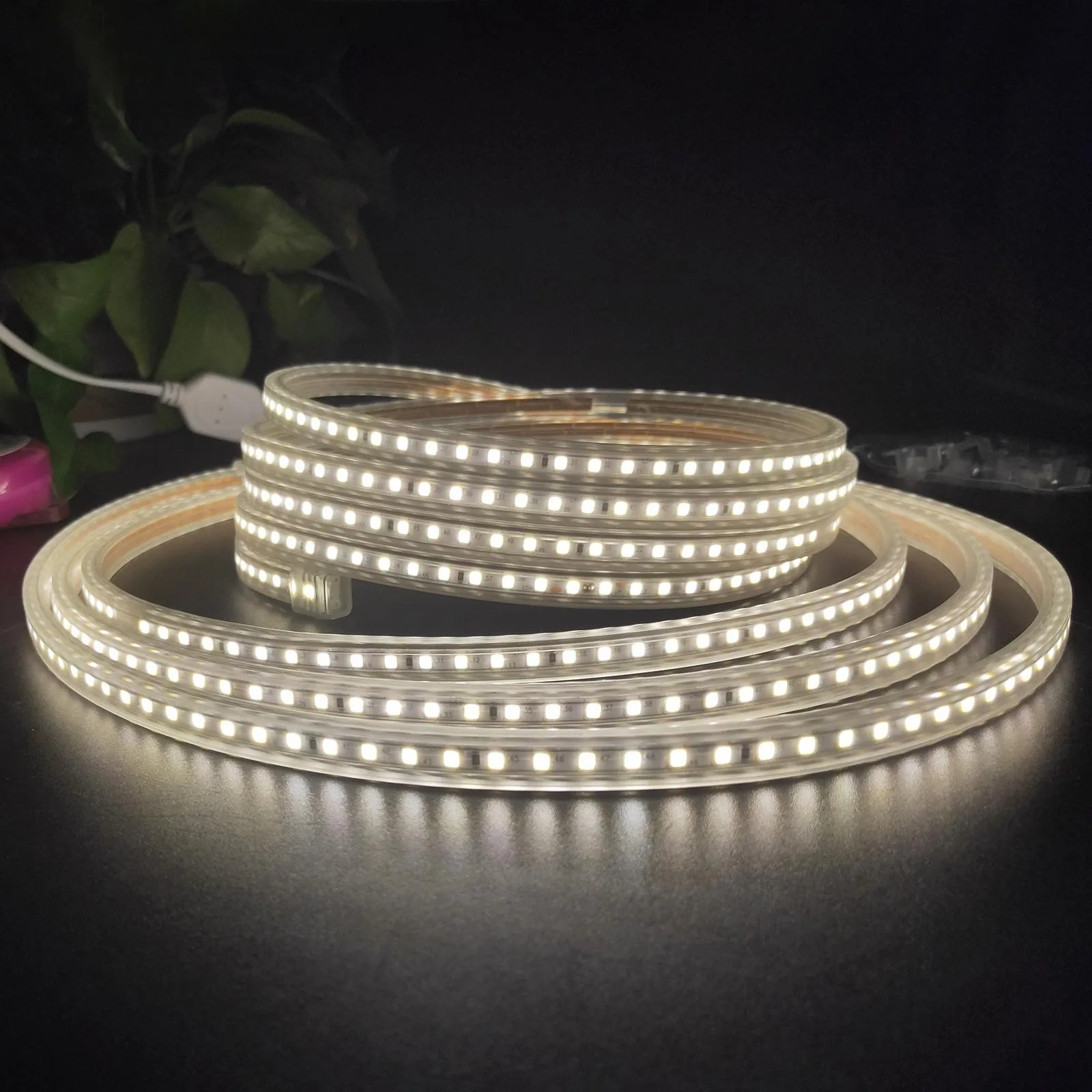 SMD 2835 1200 LEDs Strip Light, AC 220V-240V, EU Plug